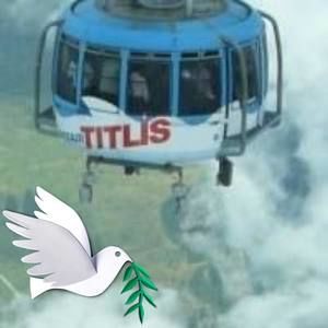 Meet your Posher, Alice